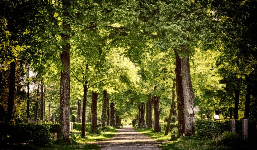cimetière cercueil écolo