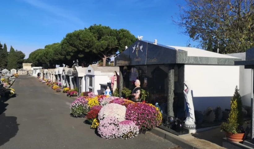 Pilleurs de tombe
