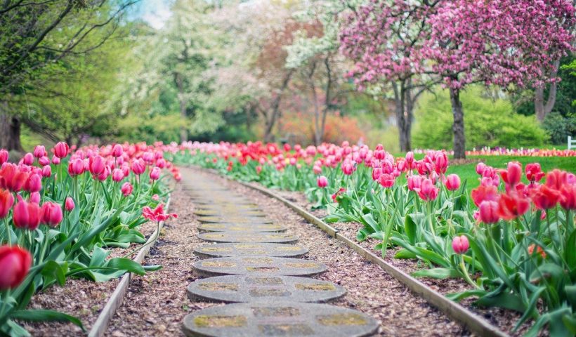 Fleurs jardin funéraire