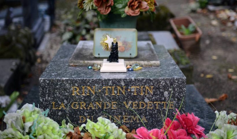 Cimetière de chiens