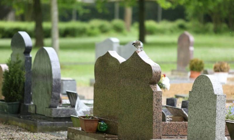 Carré musulman cimetière saint denis