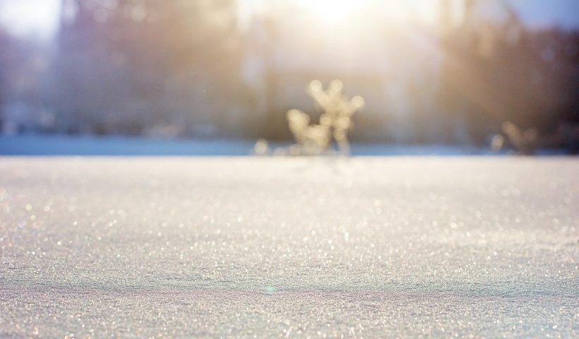 Neige