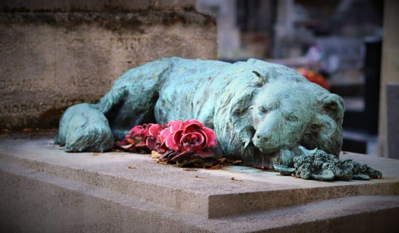 Tombe pour chien
