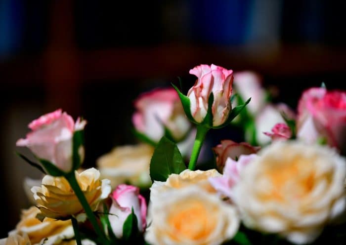 Julie Larcopage essaie de privilégier les tombes nues, celles qui semblent ne plus recevoir de visites. • © Illustration shraga kopstein / Unsplash