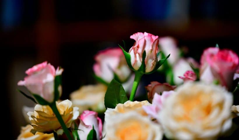 Julie Larcopage essaie de privilégier les tombes nues, celles qui semblent ne plus recevoir de visites. • © Illustration shraga kopstein / Unsplash