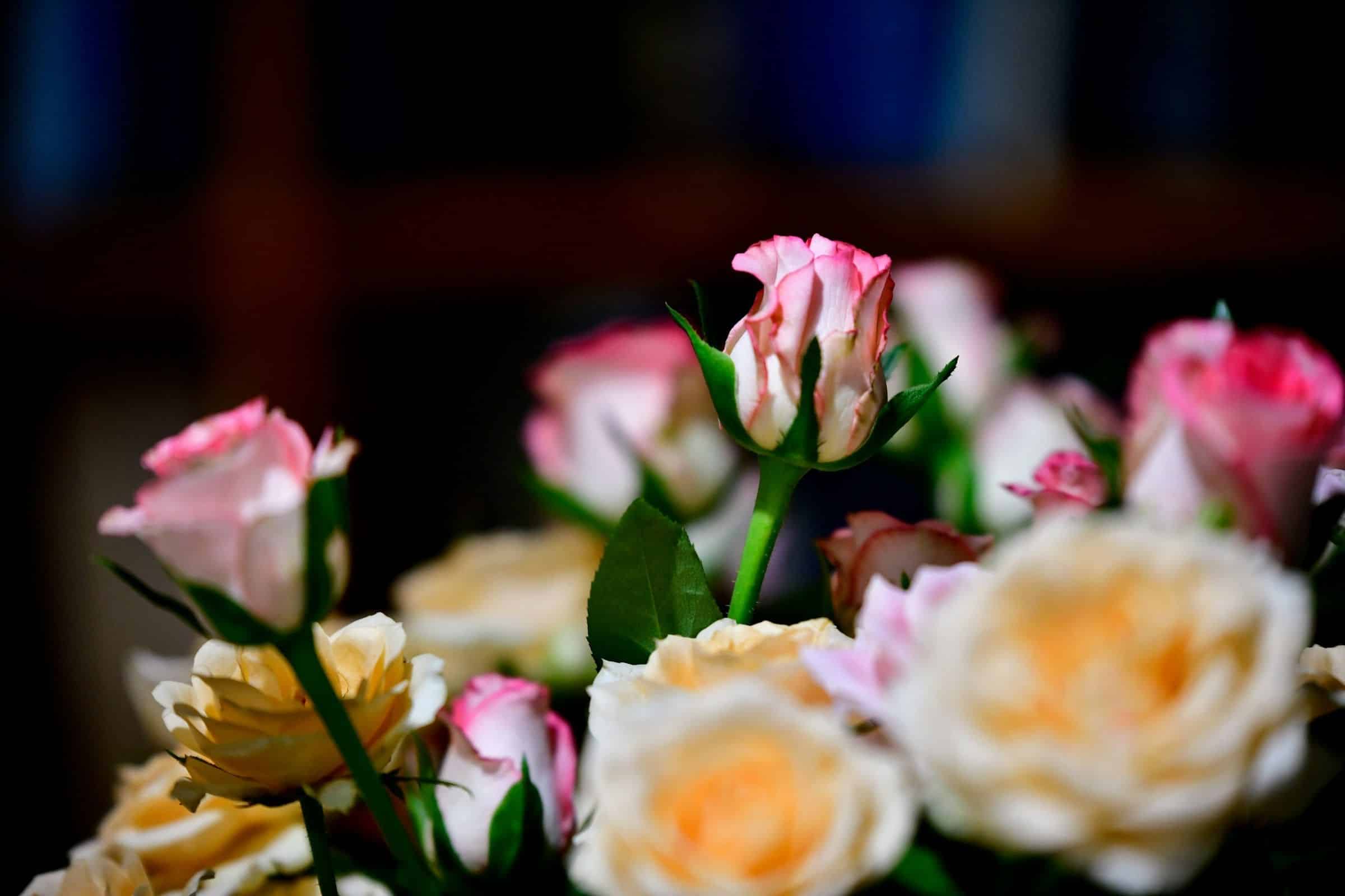 Julie Larcopage essaie de privilégier les tombes nues, celles qui semblent ne plus recevoir de visites. • © Illustration shraga kopstein / Unsplash