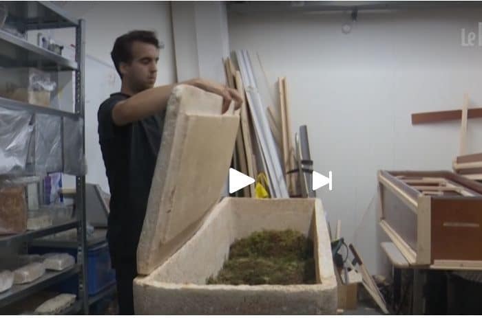ercueil cultivé à partir de mycélium et de fibres de chanvre