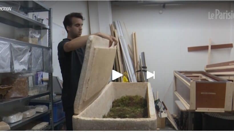 ercueil cultivé à partir de mycélium et de fibres de chanvre