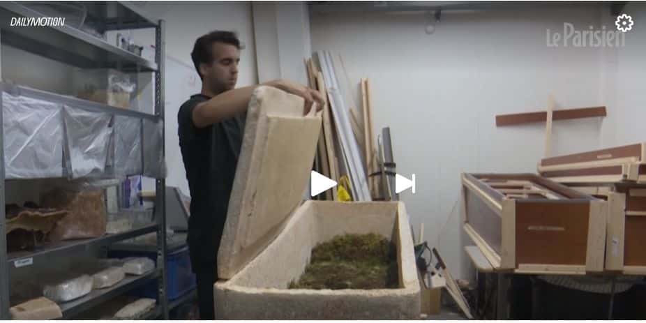ercueil cultivé à partir de mycélium et de fibres de chanvre